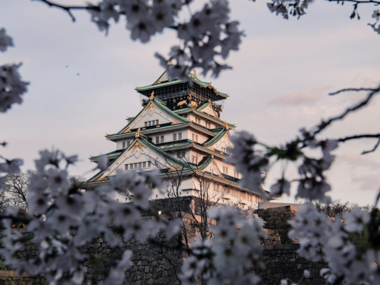 Japón: Tradición milenaria y modernidad en armonía 🇯🇵🌸